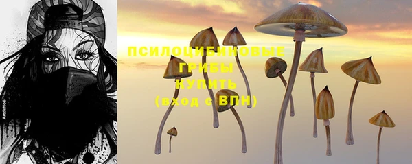 PSILOCYBIN Верхнеуральск