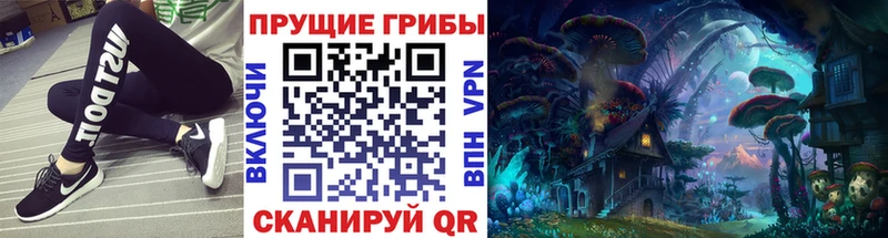 Купить где  Нолинск  Псилоцибиновые грибы MAGIC MUSHROOMS 